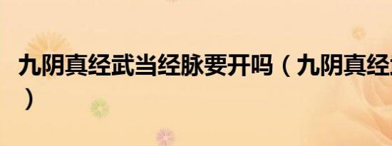 九阴真经武当经脉要开吗（九阴真经武当经脉）