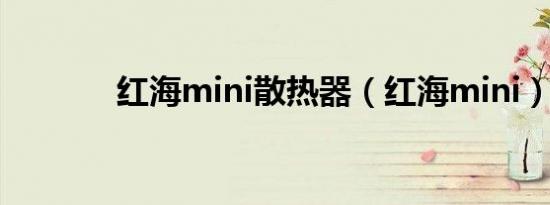 红海mini散热器（红海mini）