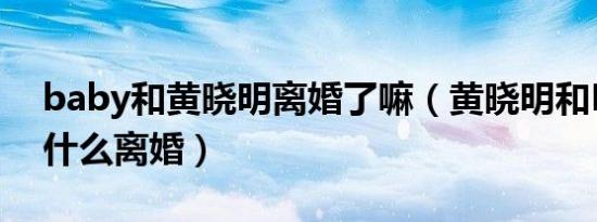 baby和黄晓明离婚了嘛（黄晓明和BABY为什么离婚）