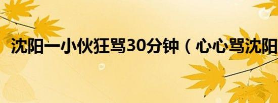 沈阳一小伙狂骂30分钟（心心骂沈阳小伙）