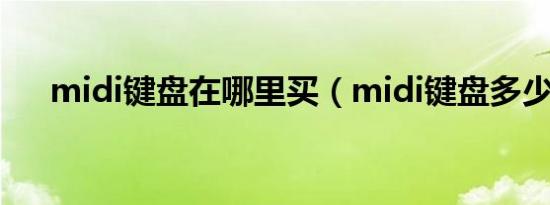 midi键盘在哪里买（midi键盘多少钱）