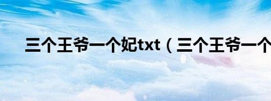 三个王爷一个妃txt（三个王爷一个妃）