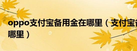 oppo支付宝备用金在哪里（支付宝备用金在哪里）