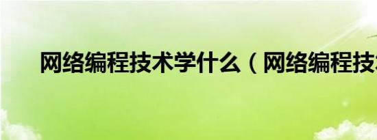 网络编程技术学什么（网络编程技术）