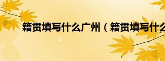 信用卡利息高还是借呗高（信用卡利息）