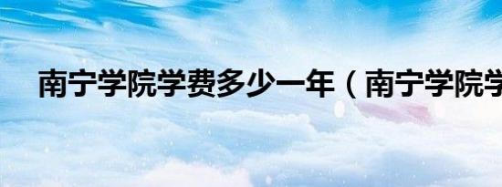 南宁学院学费多少一年（南宁学院学费）