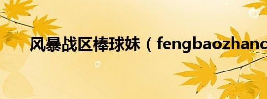 风暴战区棒球妹（fengbaozhanqu）