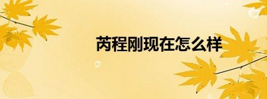 芮程刚现在怎么样