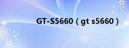 GT-S5660（gt s5660）