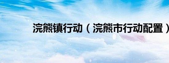 浣熊镇行动（浣熊市行动配置）