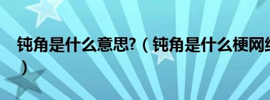 钝角是什么意思?（钝角是什么梗网络流行语）