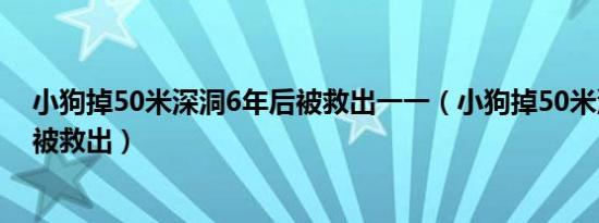 小狗掉50米深洞6年后被救出一一（小狗掉50米深洞6年后被救出）