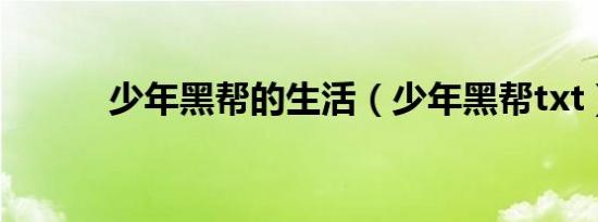 少年黑帮的生活（少年黑帮txt）