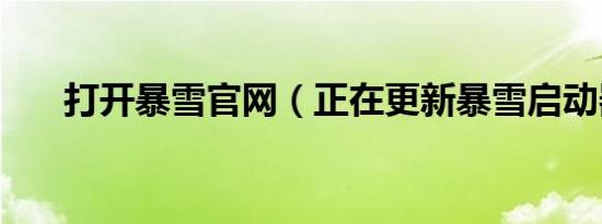 打开暴雪官网（正在更新暴雪启动器）
