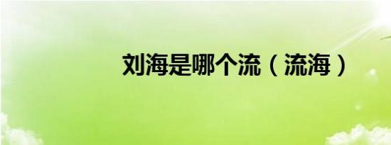刘海是哪个流（流海）