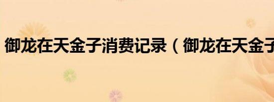 御龙在天金子消费记录（御龙在天金子比例）