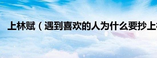 上林赋（遇到喜欢的人为什么要抄上林赋）