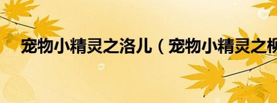 宠物小精灵之洛儿（宠物小精灵之柳阳）