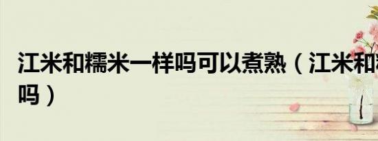 江米和糯米一样吗可以煮熟（江米和糯米一样吗）