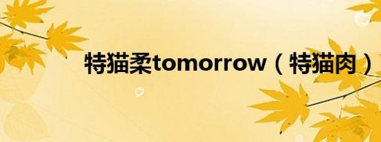 特猫柔tomorrow（特猫肉）