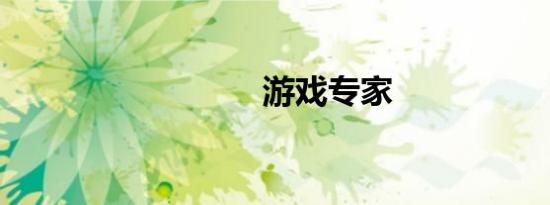 游戏专家