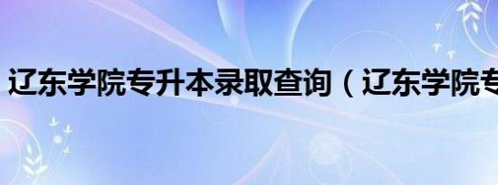 辽东学院专升本录取查询（辽东学院专升本）