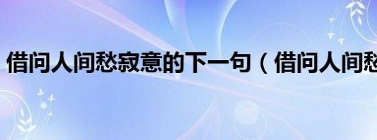借问人间愁寂意的下一句（借问人间愁寂意）