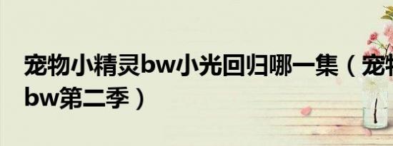 宠物小精灵bw小光回归哪一集（宠物小精灵bw第二季）