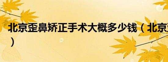 北京歪鼻矫正手术大概多少钱（北京歪鼻矫正）
