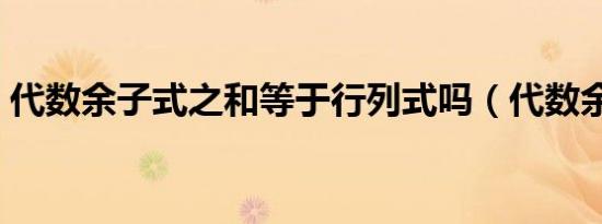 代数余子式之和等于行列式吗（代数余子式）