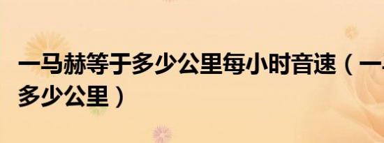 一马赫等于多少公里每小时音速（一马赫等于多少公里）