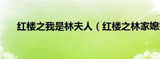 红楼之我是林夫人（红楼之林家媳妇）