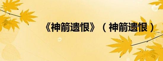 《神箭遗恨》（神箭遗恨）