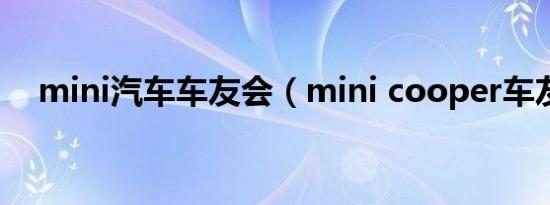 mini汽车车友会（mini cooper车友会）