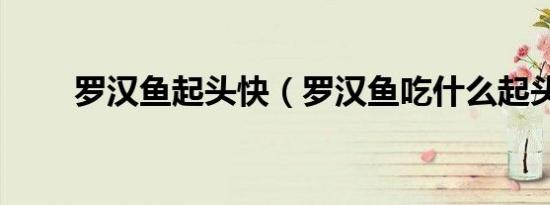 罗汉鱼起头快（罗汉鱼吃什么起头）