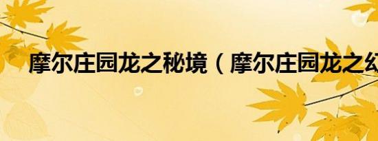 摩尔庄园龙之秘境（摩尔庄园龙之幻境）