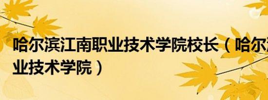 哈尔滨江南职业技术学院校长（哈尔滨江南职业技术学院）