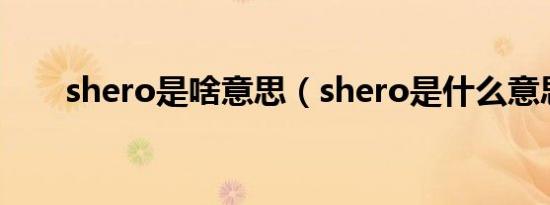 shero是啥意思（shero是什么意思）
