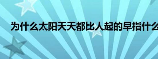 为什么太阳天天都比人起的早指什么生肖