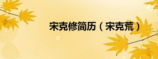 宋克修简历（宋克荒）