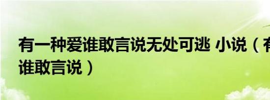 有一种爱谁敢言说无处可逃 小说（有一种爱谁敢言说）