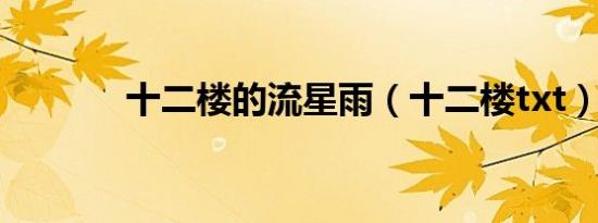 十二楼的流星雨（十二楼txt）