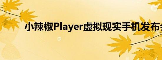 小辣椒Player虚拟现实手机发布会