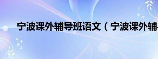 宁波课外辅导班语文（宁波课外辅导）
