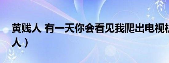 黄贱人 有一天你会看见我爬出电视机（黄贱人）