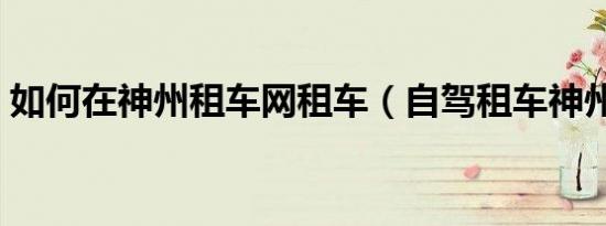 如何在神州租车网租车（自驾租车神州租车）