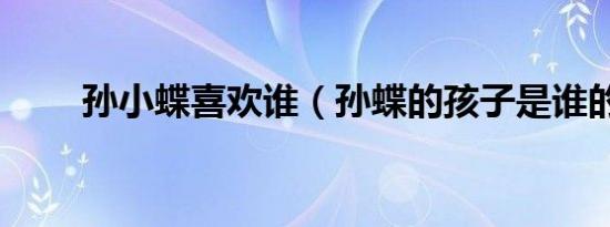 孙小蝶喜欢谁（孙蝶的孩子是谁的）