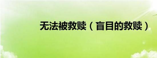 无法被救赎（盲目的救赎）