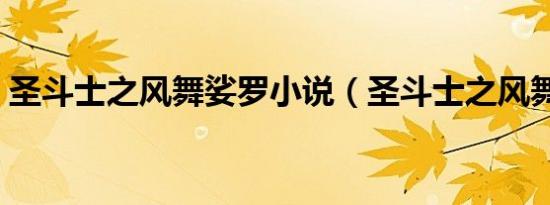 圣斗士之风舞娑罗小说（圣斗士之风舞娑罗）