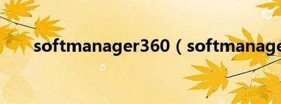 softmanager360（softmanager）